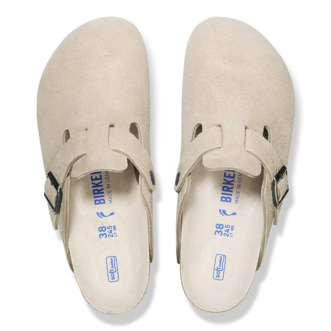 Boston Oyster Tonal